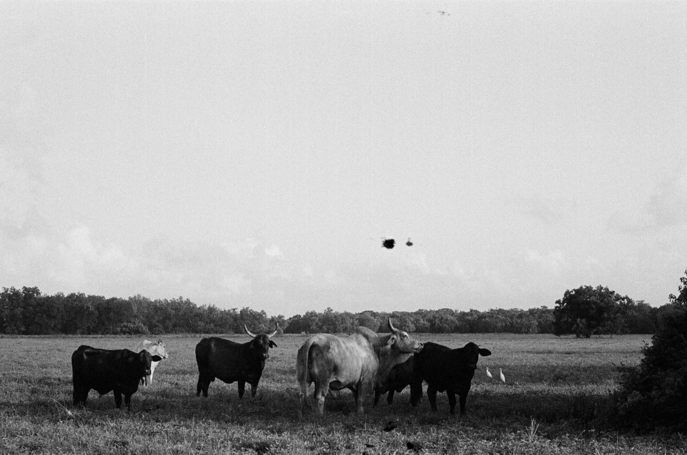 Photograph by Owen Correll